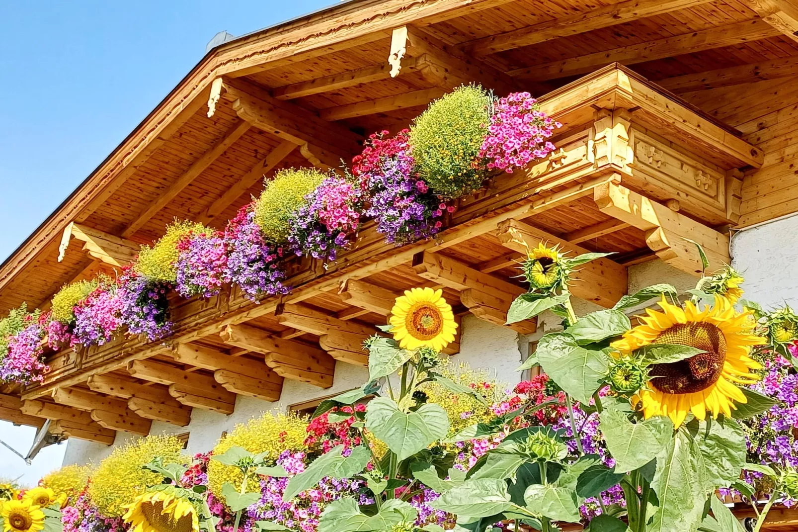 Ferienwohnung am Bio-Bauernhof-Buitenkant zomer