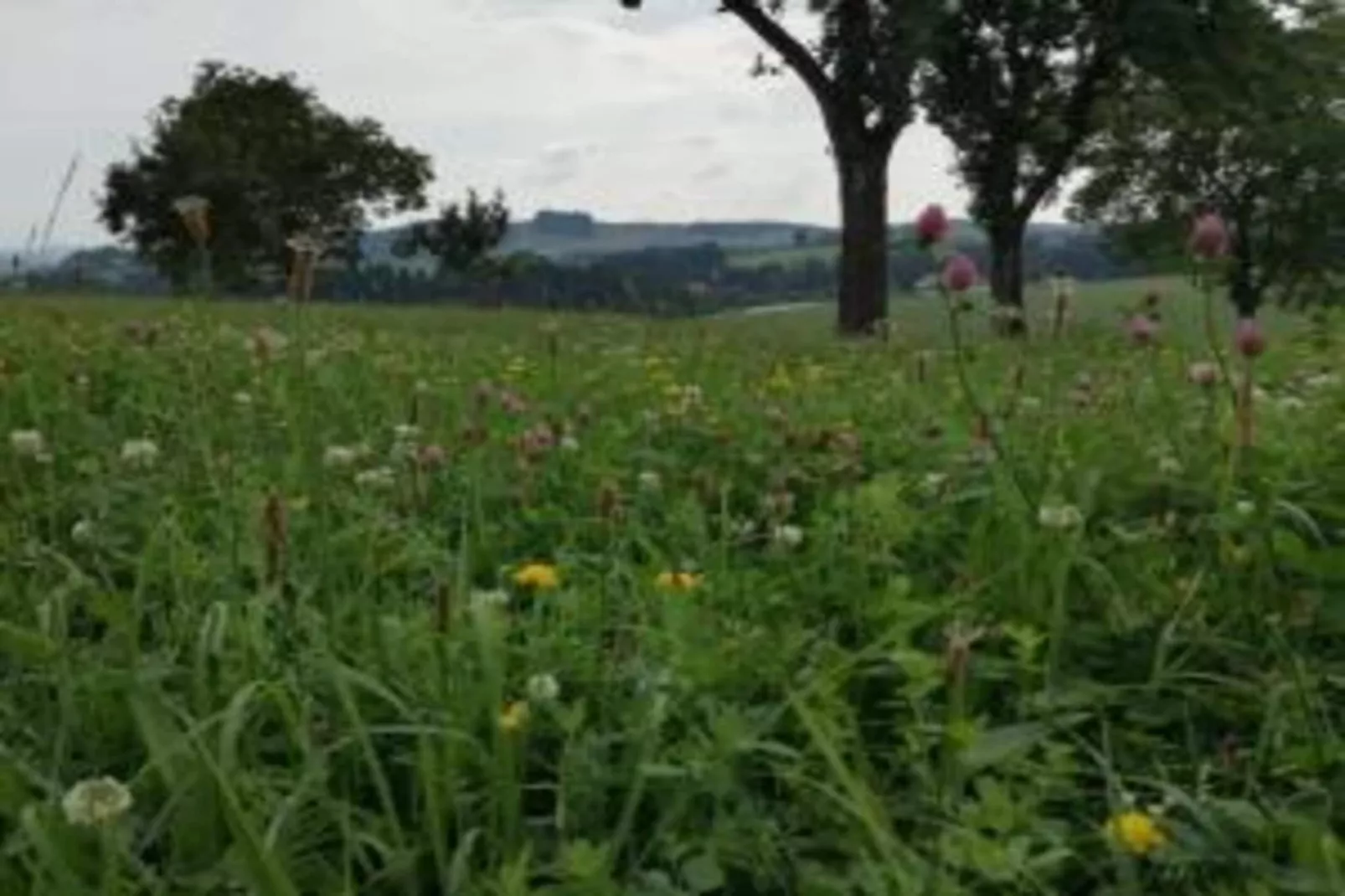 Thüringer Ferienhäuschen-Gebieden zomer 20km