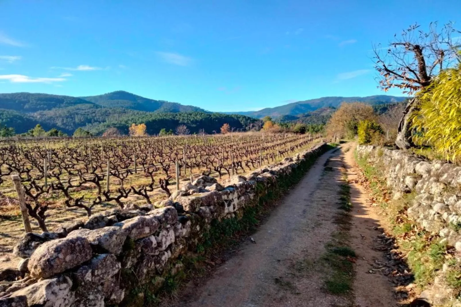 LA BOSCALIERE/ CHABROUD-Gebieden zomer 20km