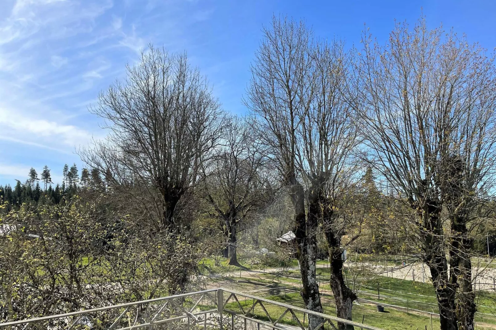 6 persoons vakantie huis in BOLLEBYGD-By Traum-Buitenlucht