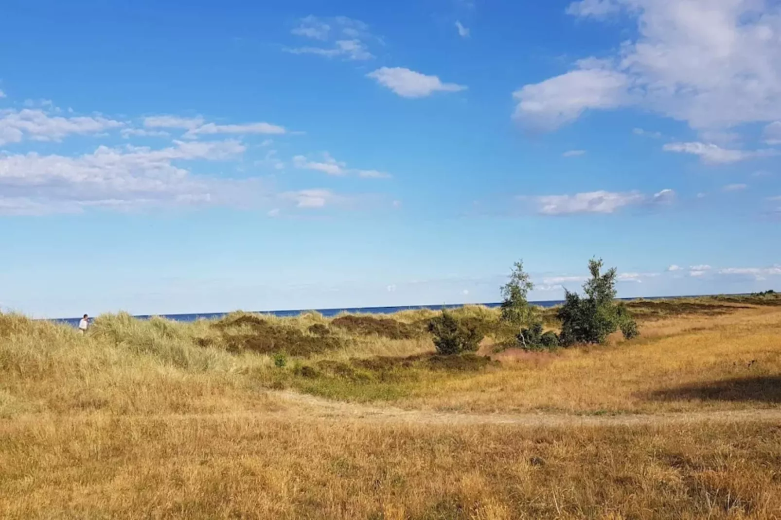 6 persoons vakantiehuis in Væggerløse-Niet-getagd