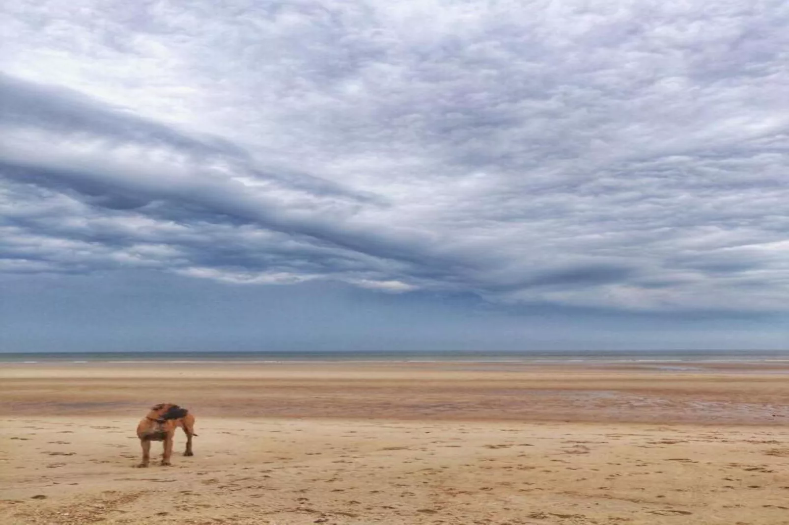 Ter Poel 0101-Gebieden zomer 20km