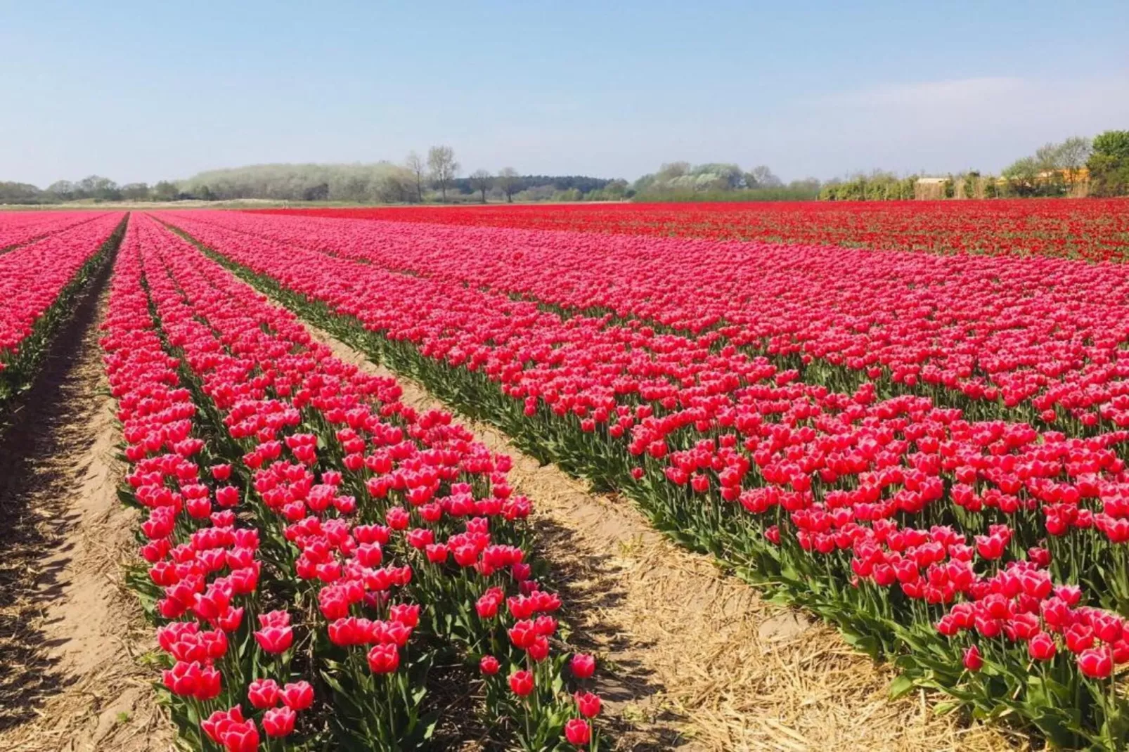 Waterpark de Meerparel 13-Gebieden zomer 20km