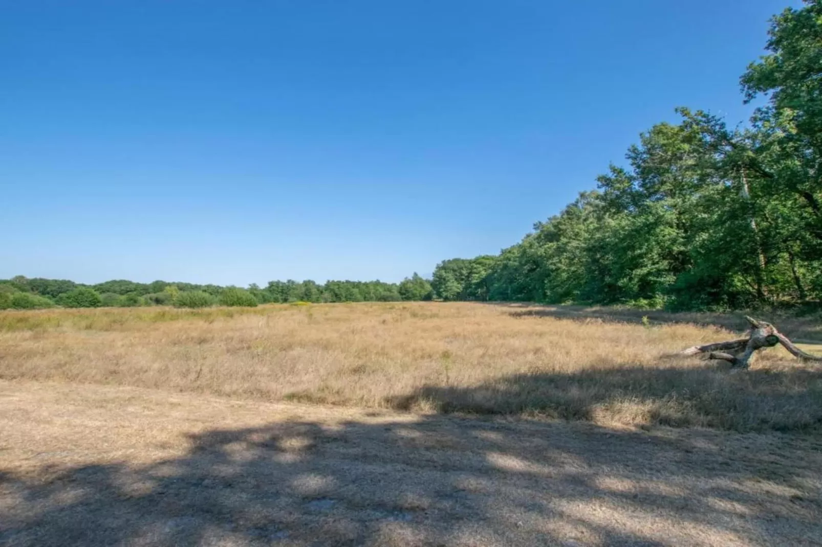 Vakantiepark Sandberghe 13-Gebieden zomer 20km