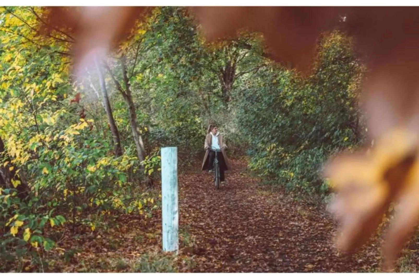 Dwergarend 17-19-Gebieden zomer 20km