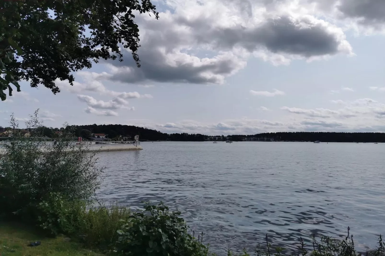 Studio 7 - Kranichhorst 4 Personen-Gebieden zomer 5km