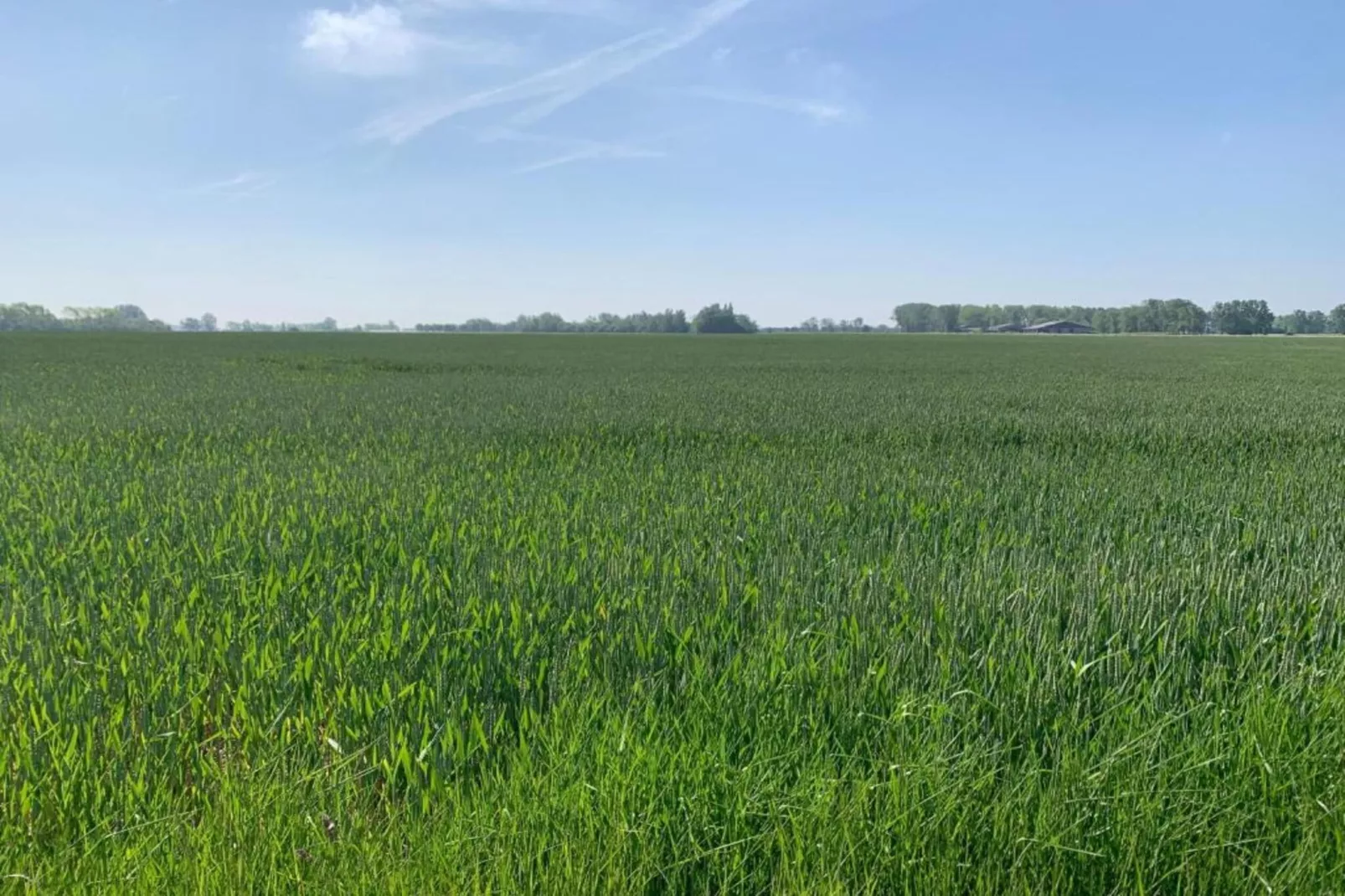 DEN OEVER V 108-Gebieden zomer 20km