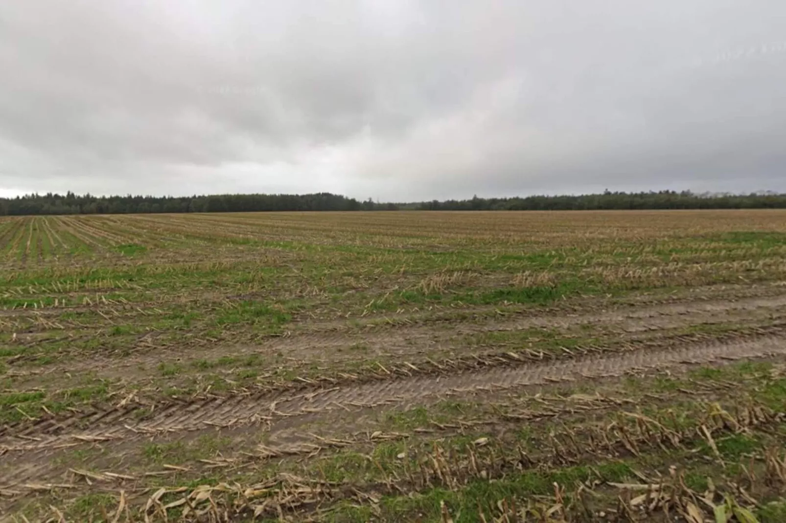 5 sterren vakantie huis in Hovborg-By Traum