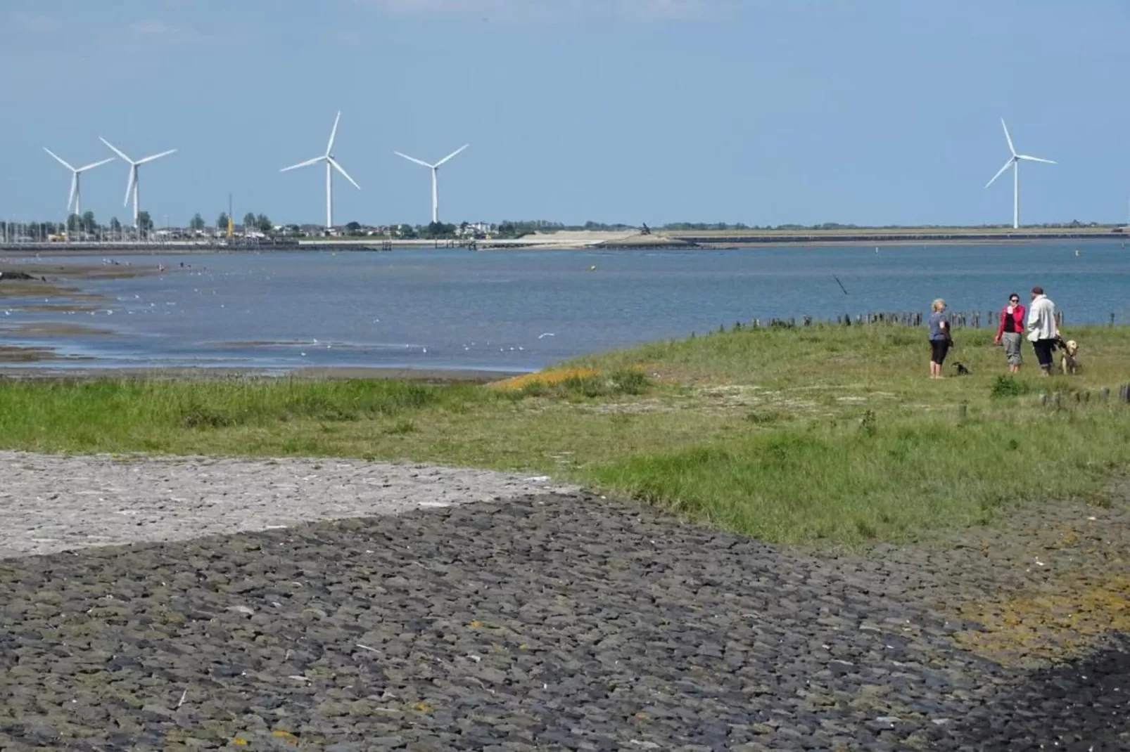 Heerlijkheid Vlietenburg 19-Gebieden zomer 20km