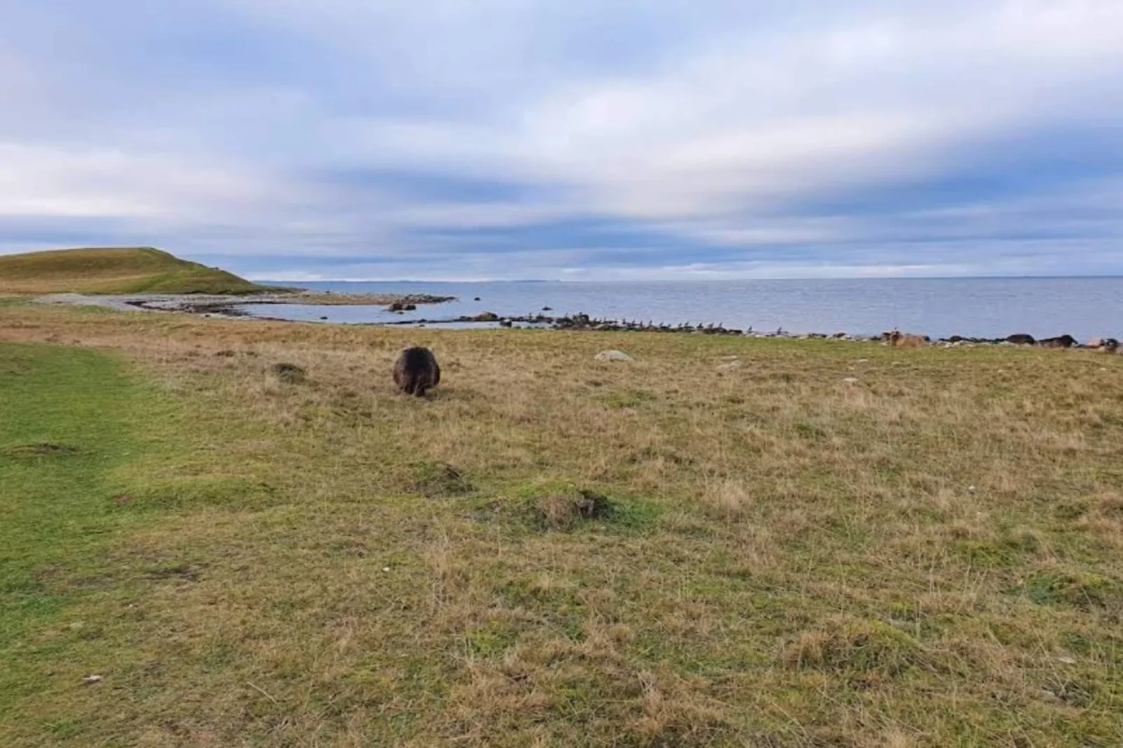 4 persoons vakantie huis in Grevinge-By Traum-Niet-getagd