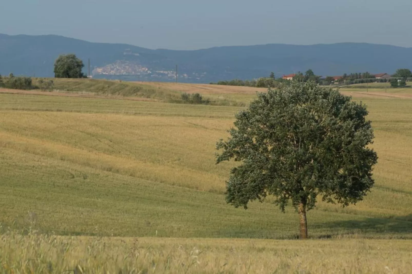 Villa i Pini Sette-Gebieden zomer 20km
