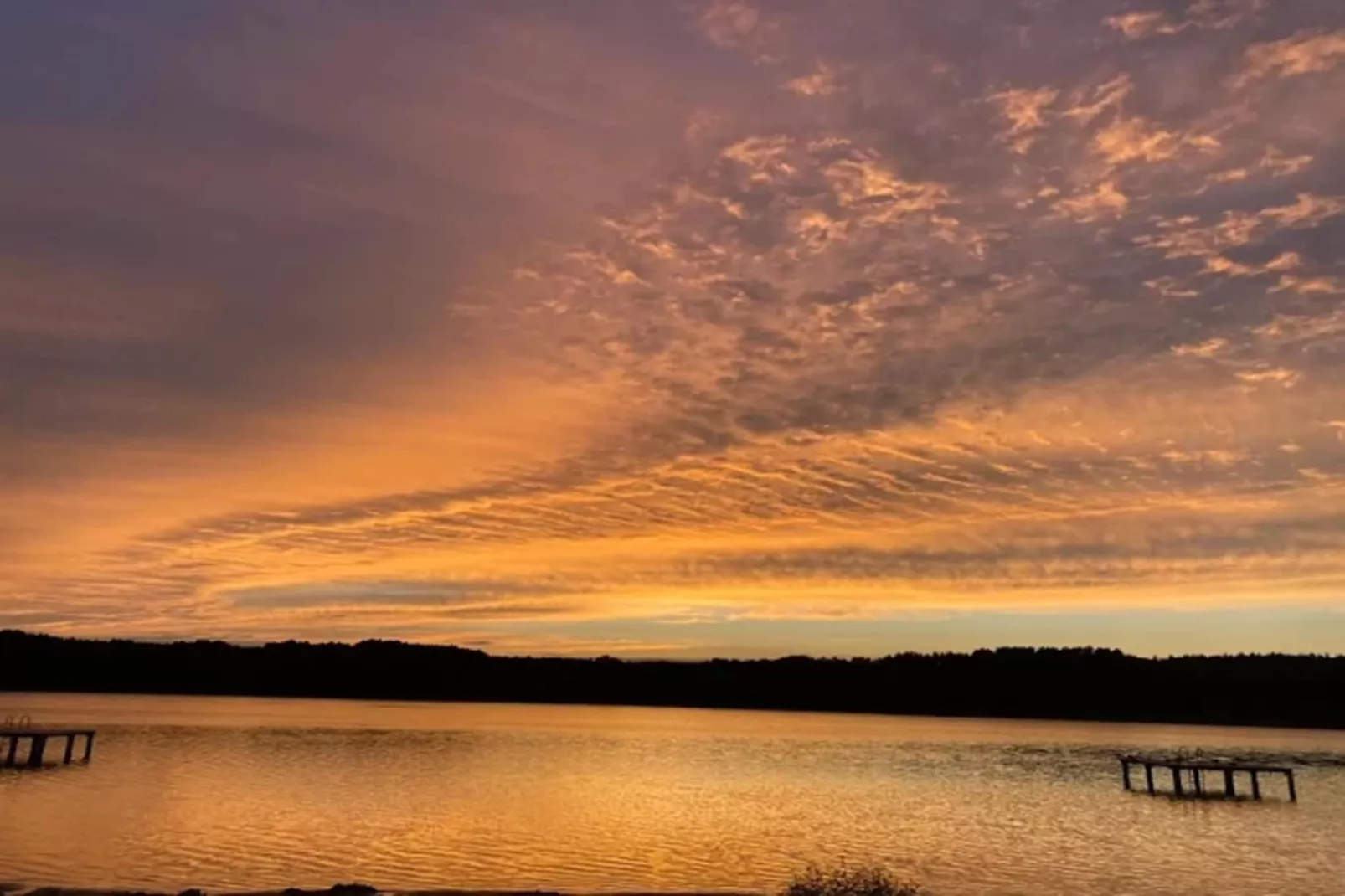 Reiher 18-Gebieden zomer 1km