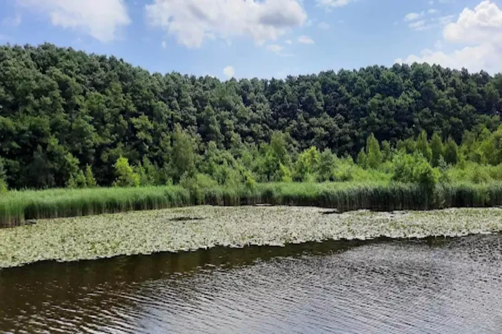 Wildgans Classic 246-Gebieden zomer 5km