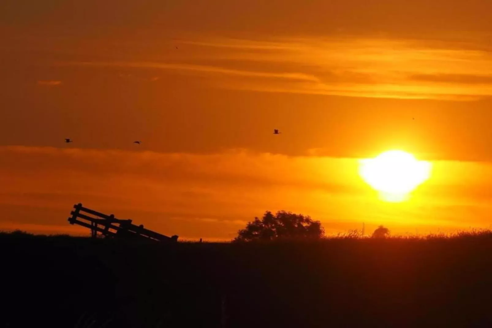 Standaard 224 - Gebieden zomer 20km