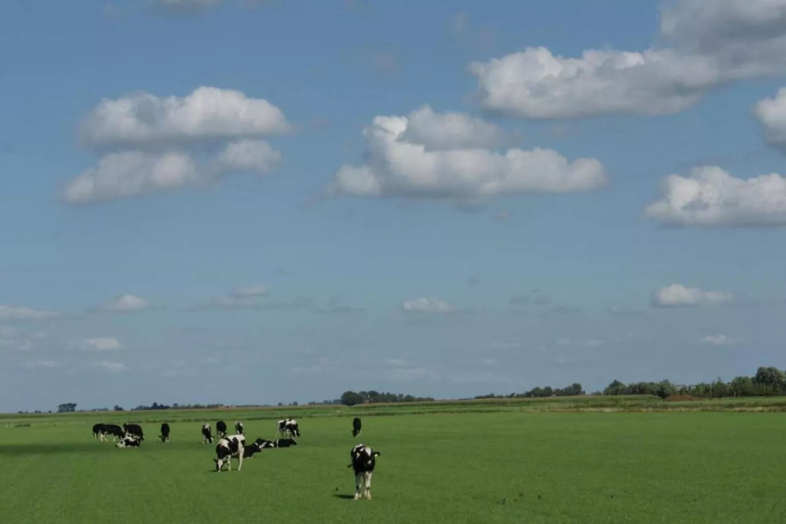 B&B de Gouwe Tijd-Gebieden zomer 20km