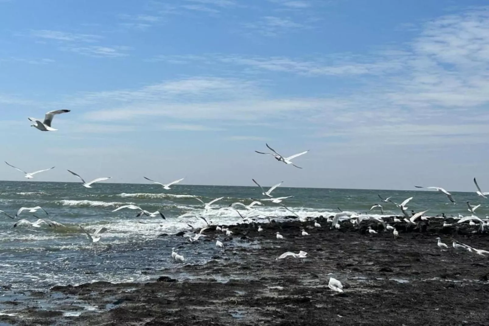 Anzelhoef Apartment Oost-Gebieden zomer 5km