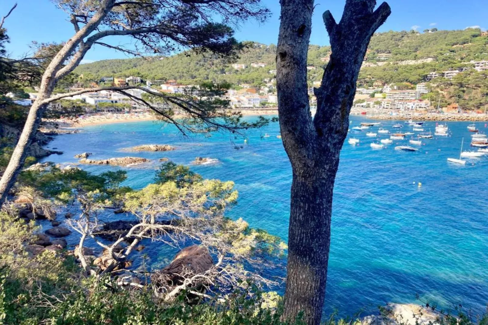 Miranda 3-Gebieden zomer 20km