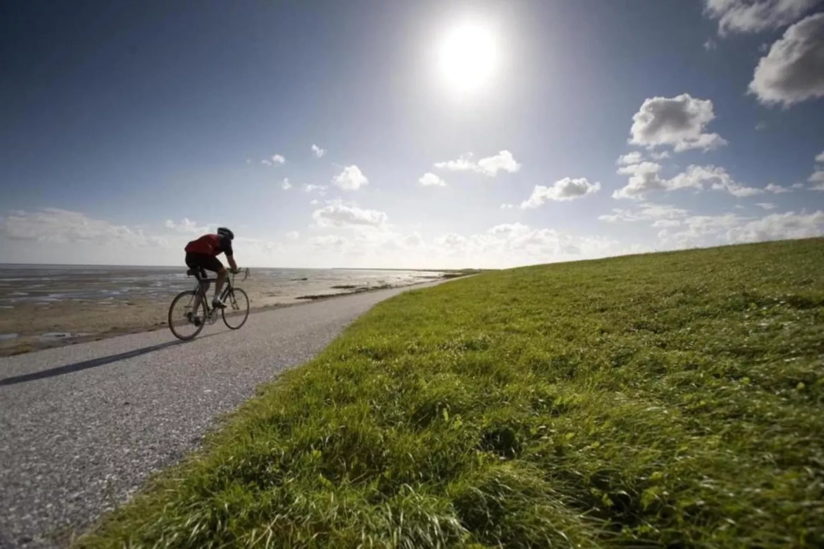 Bargereed 90-Gebieden zomer 5km