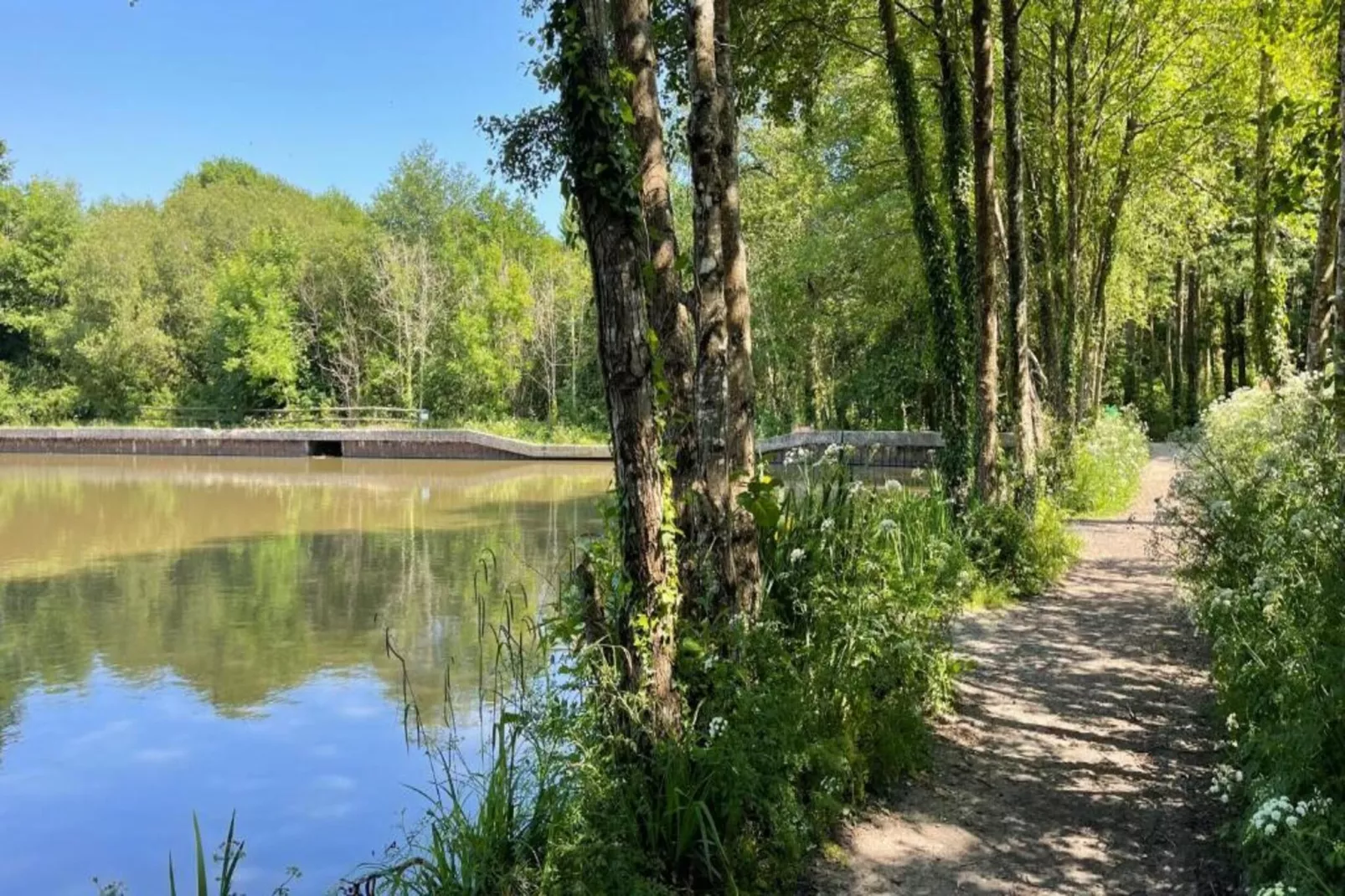 Little Dunley - Apple Lodge-Gebieden zomer 5km