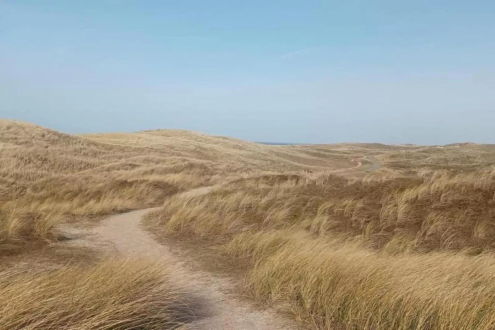 Vakantiepark Duynzicht 3-Gebieden zomer 20km