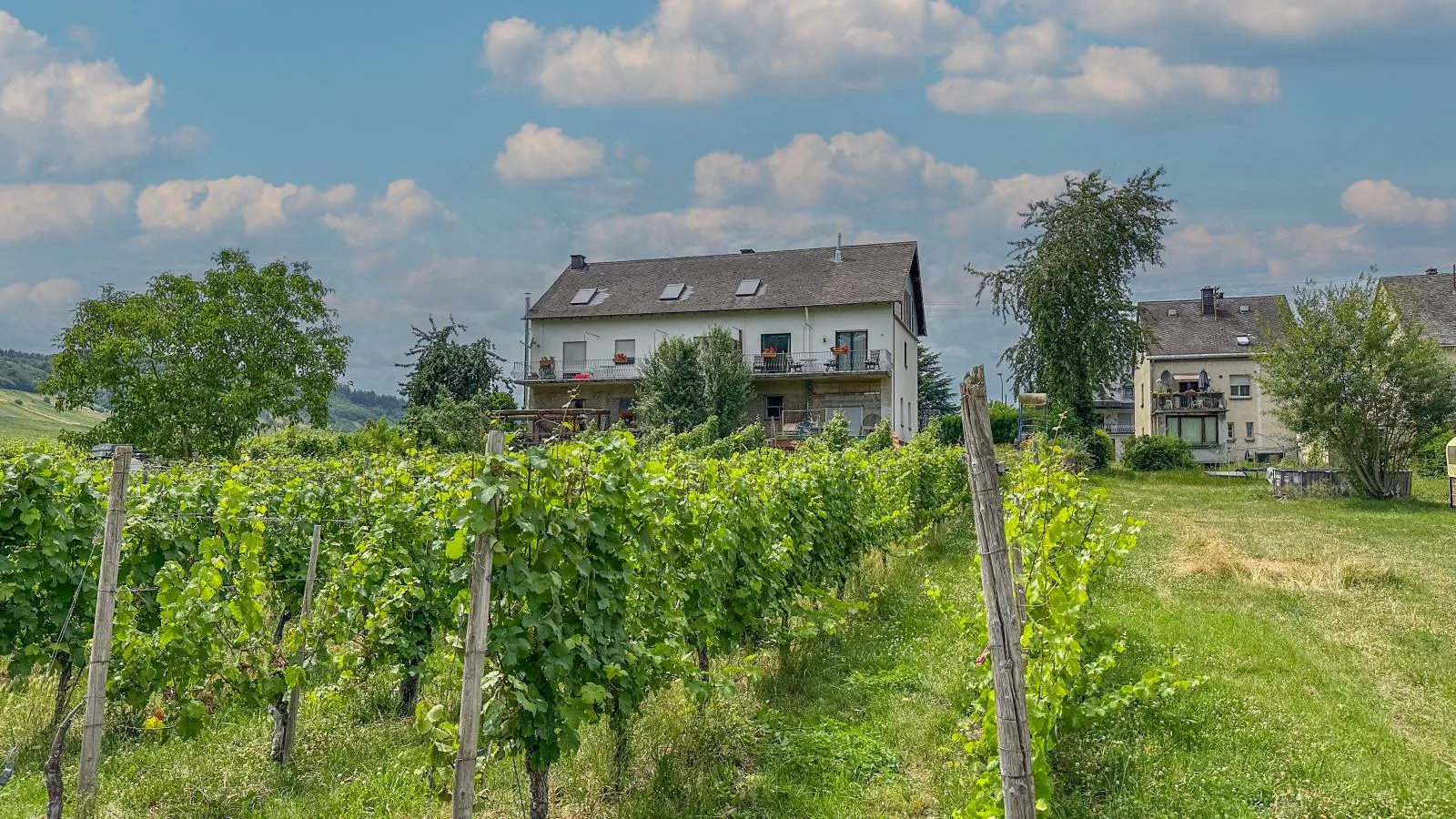 Weingut HermesLex