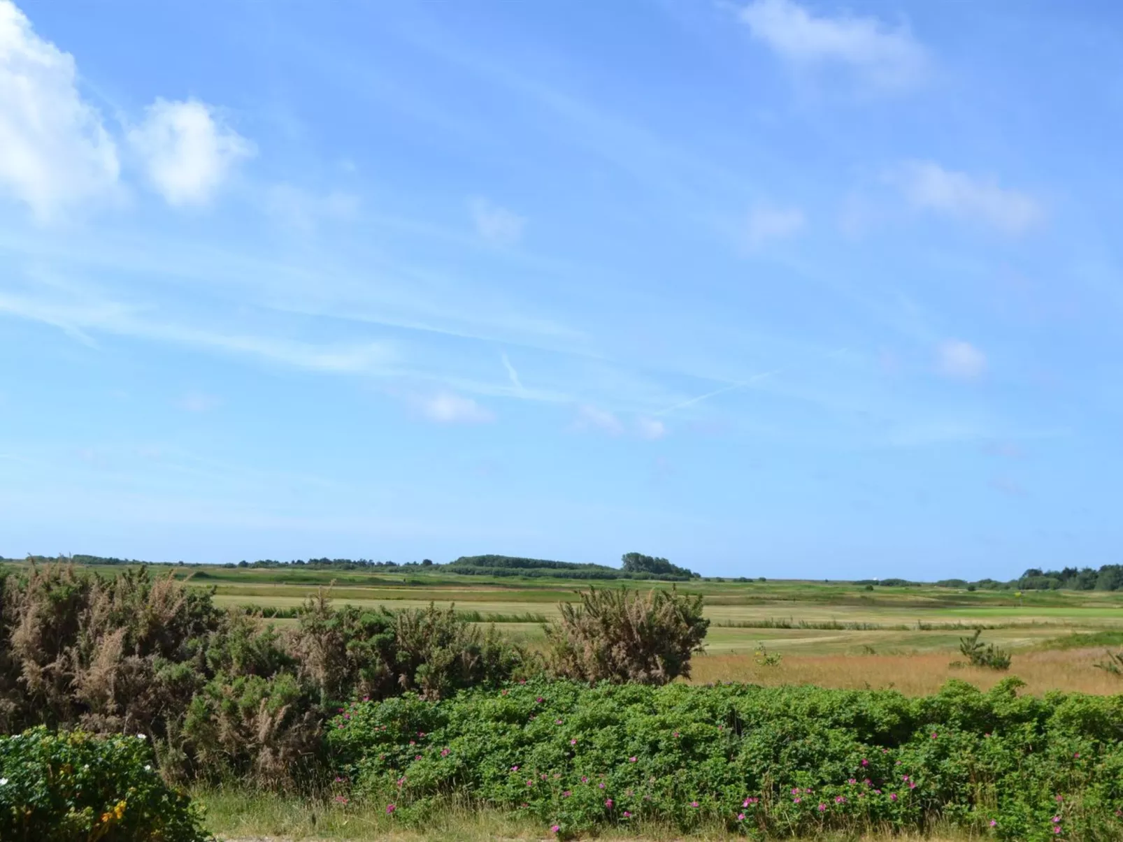 "Steffan" - 2.3km from the sea-Buiten