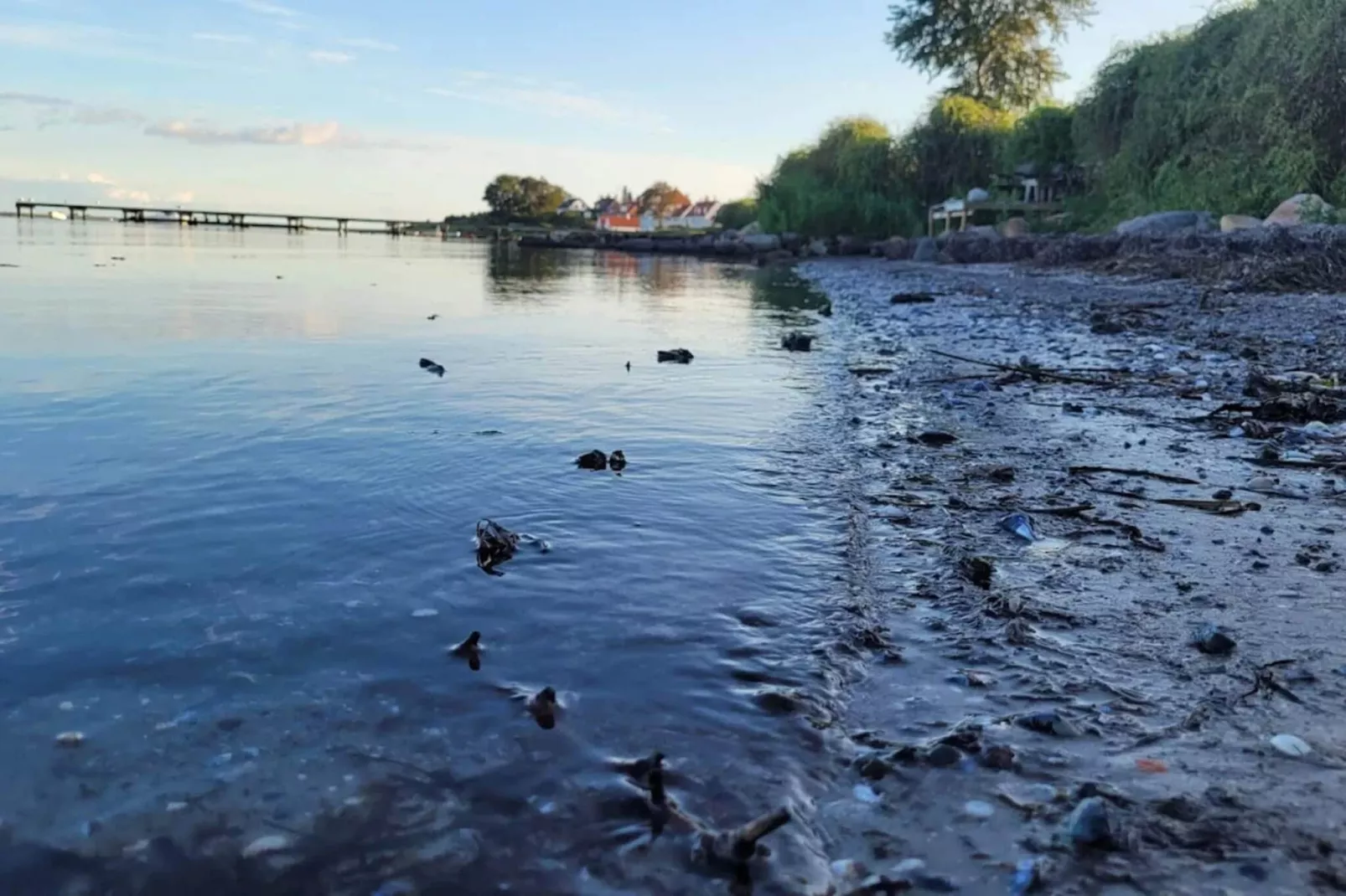 Kustplezier in Dyreborg-By Traum-Waterzicht