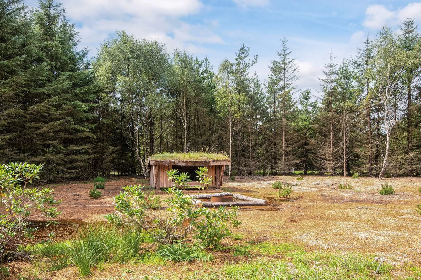 Vakantieoase in de natuur van Houstrup-Buitenlucht