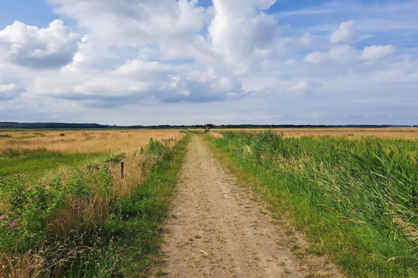 8 persoons vakantie huis in Løgstør-By Traum-Niet-getagd
