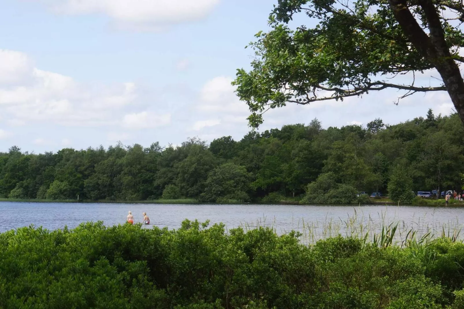 5 persoons vakantie huis in Ansager-By Traum-Waterzicht
