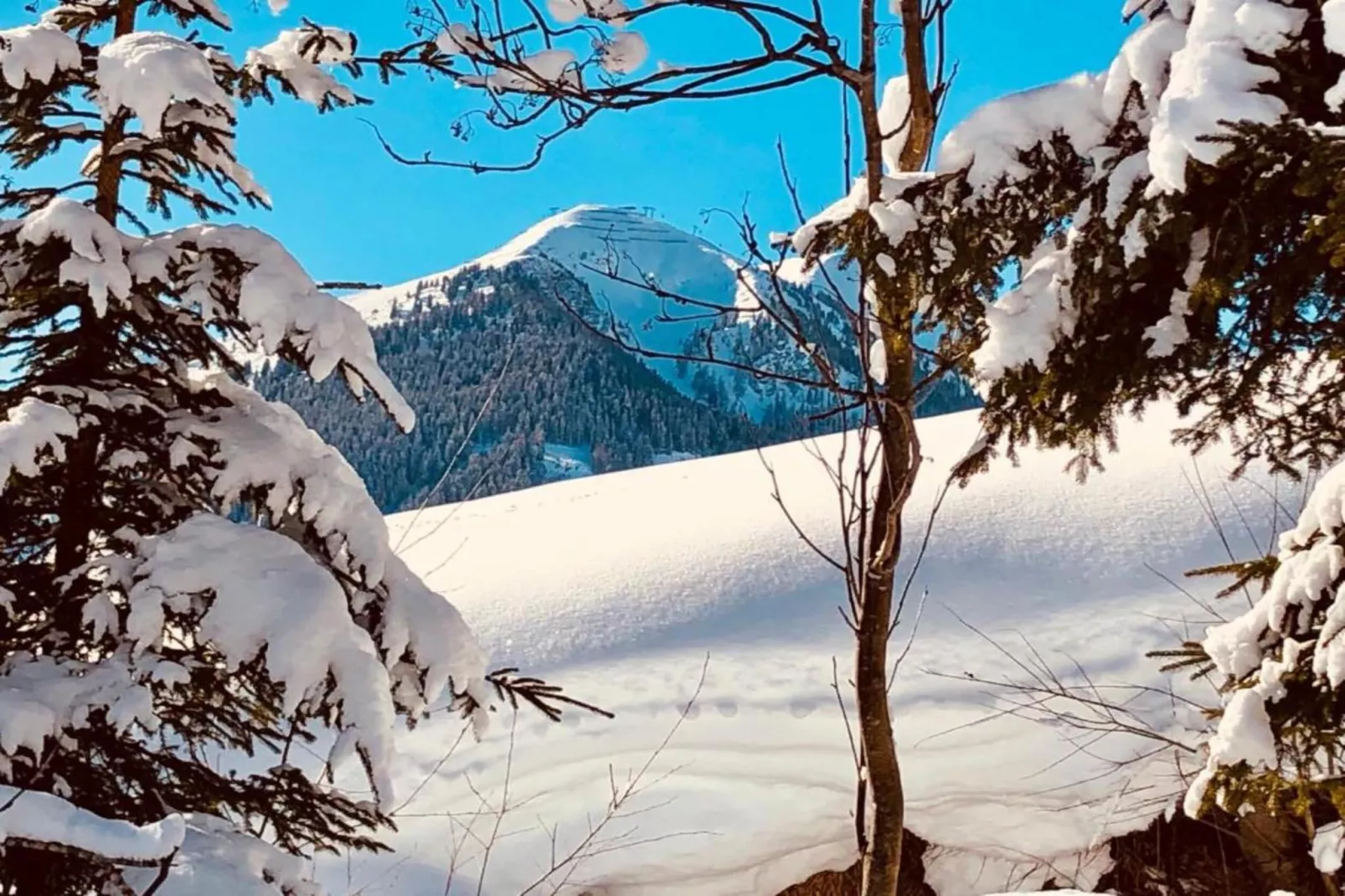 Appartement Jakob 2-Gebied winter 20km