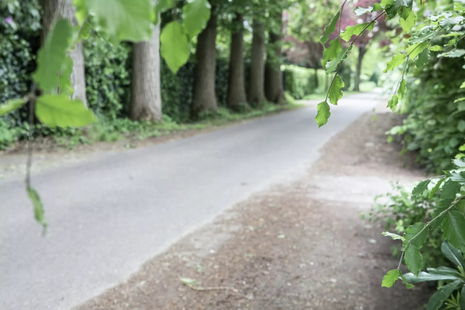 Boskant-Gebieden zomer 20km
