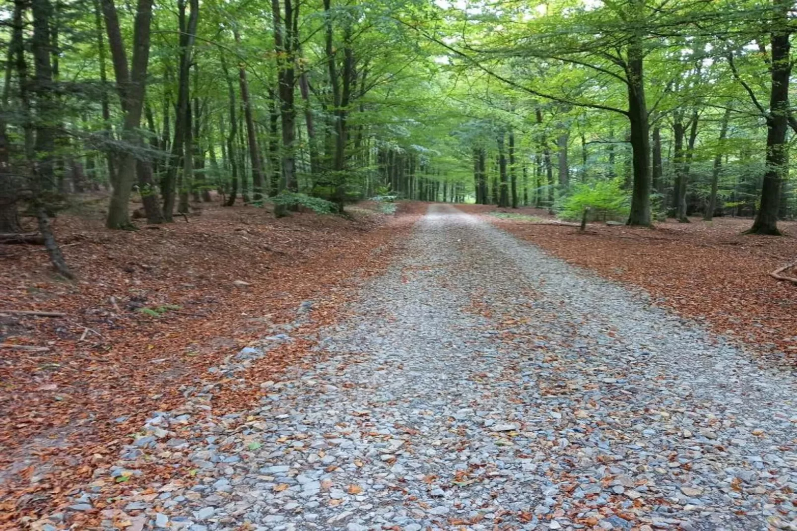 Sapin-Paul-Gebieden zomer 20km