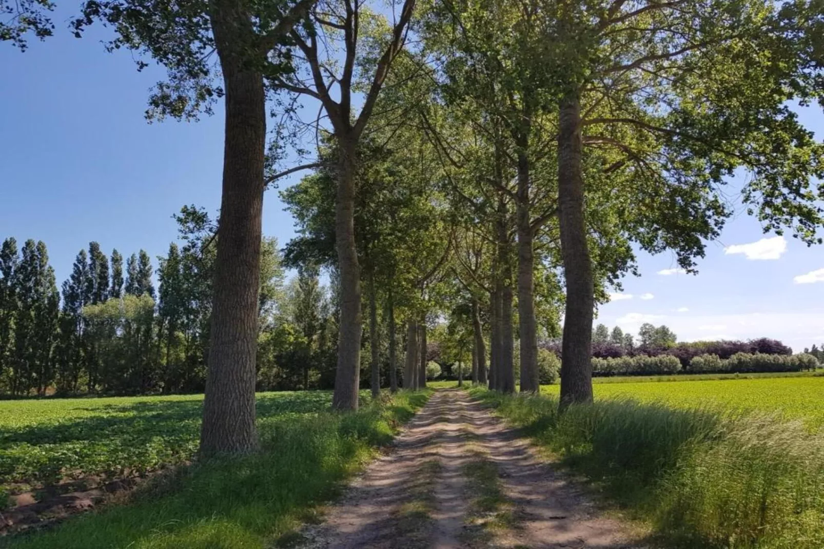 Casteeldoorn-Gebieden zomer 20km