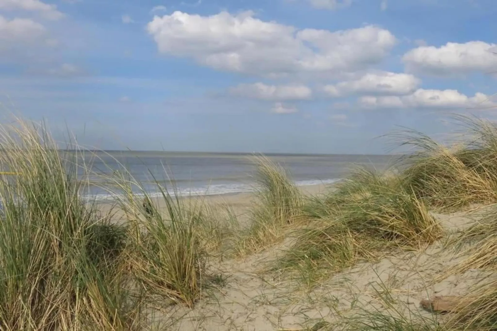 Breeduyn Village 5-Gebieden zomer 20km