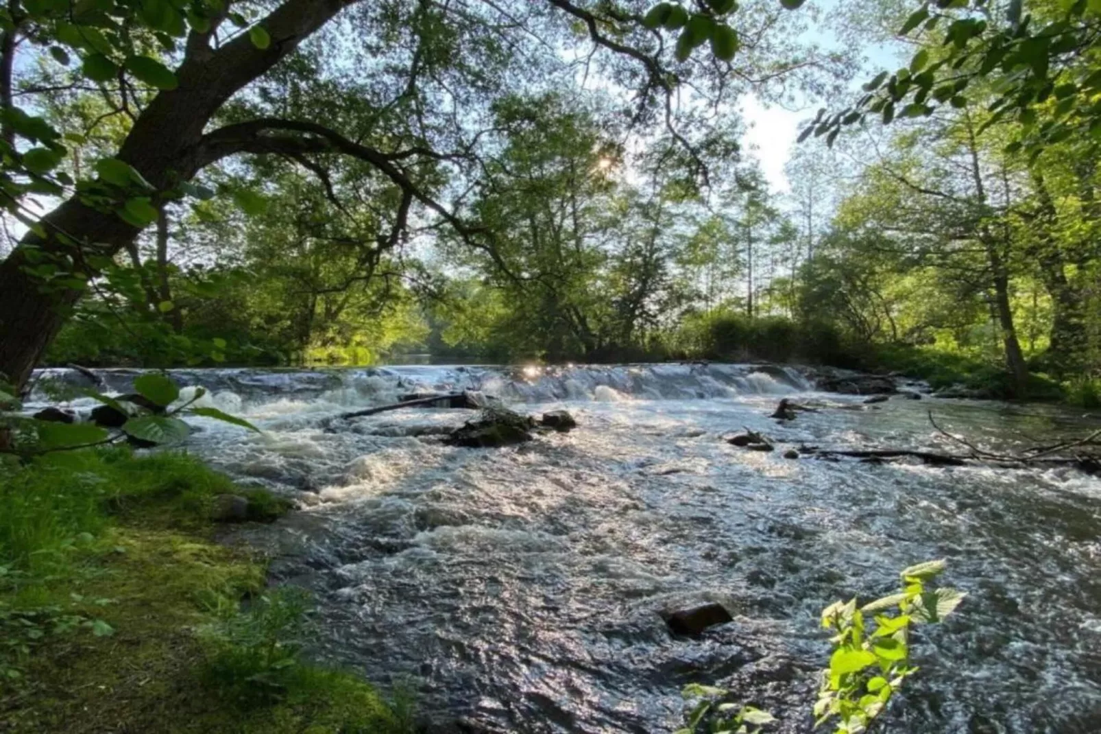 Meisdorf I-Gebieden zomer 5km