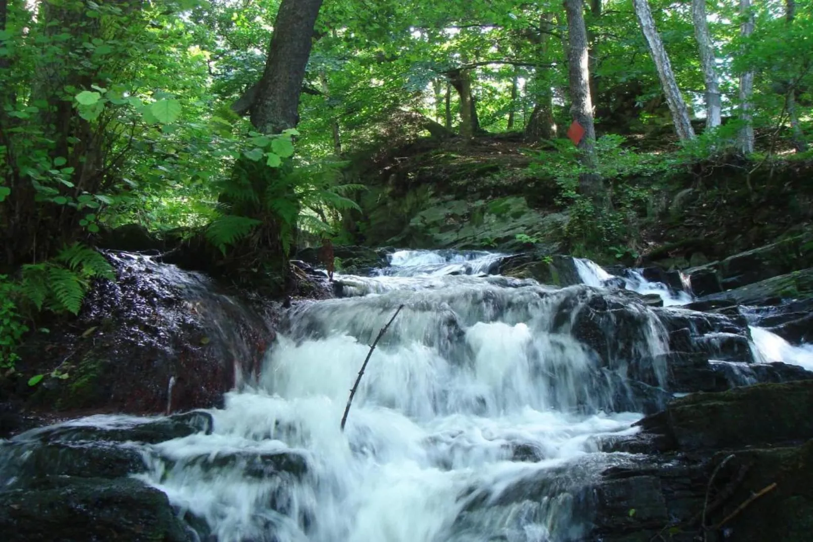 Holzhaus Ute-Gebieden zomer 20km