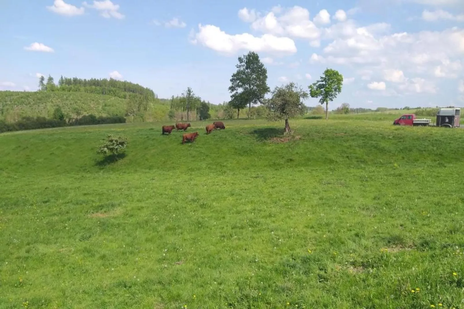 Thale-Gebieden zomer 20km