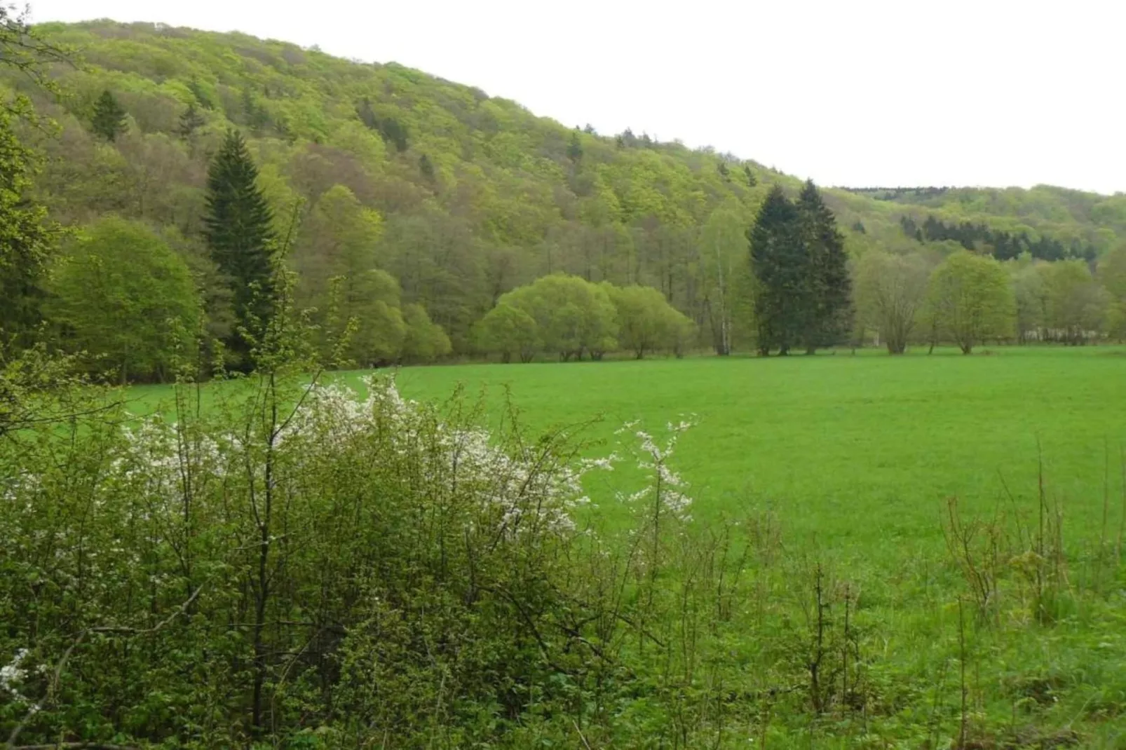 Obermühle-Gebieden zomer 5km