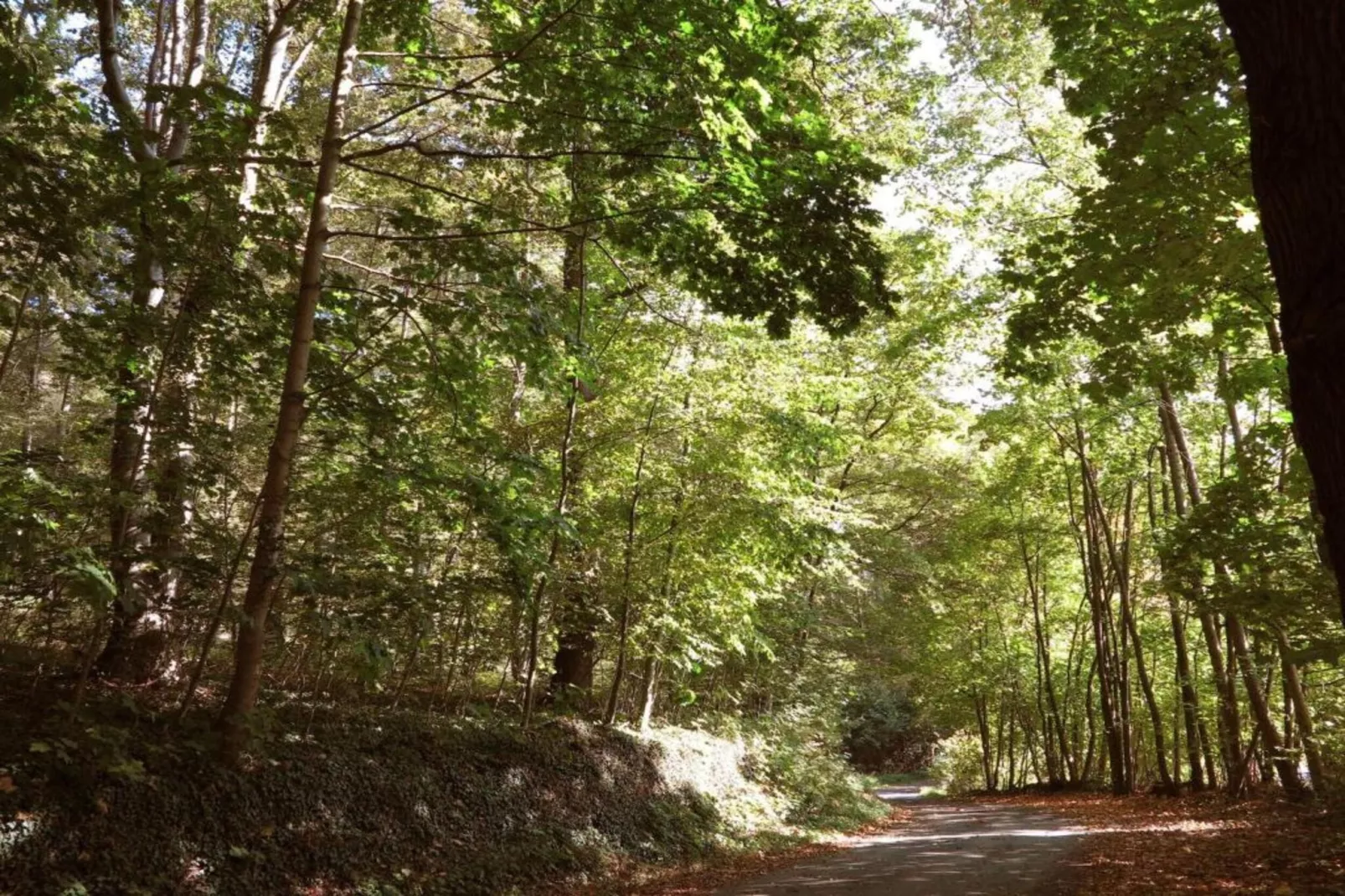 Weserbergland-Gebieden zomer 20km