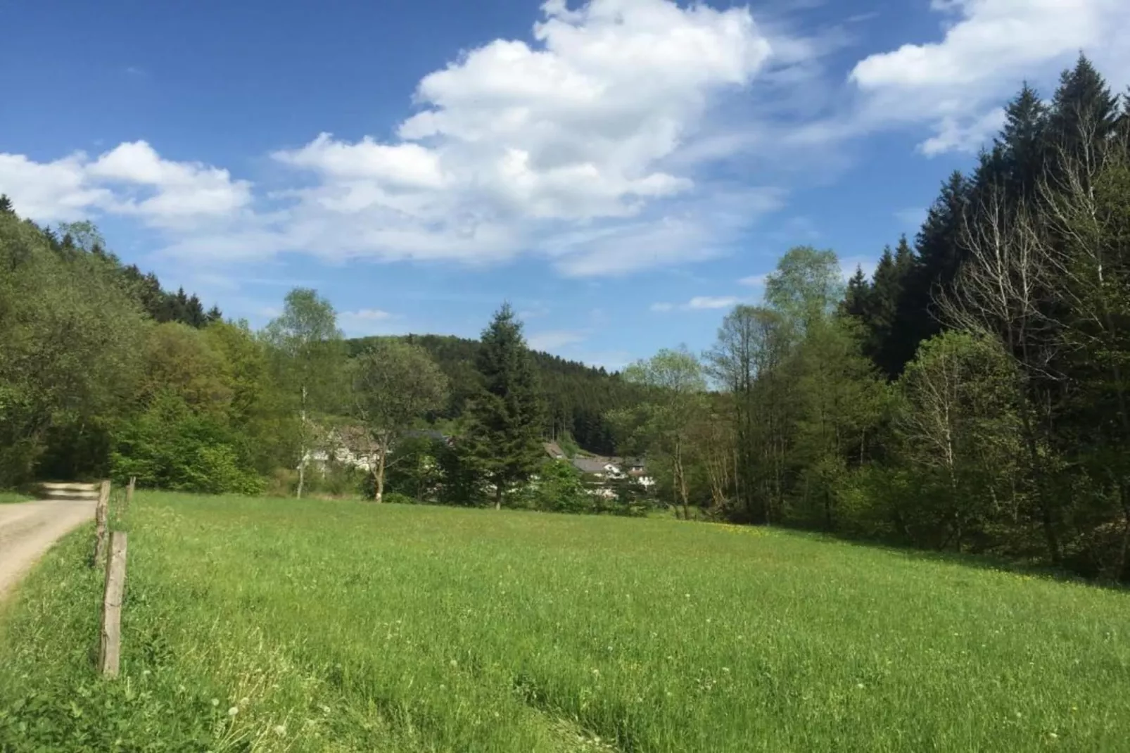 Am Damwildgehege-Gebieden zomer 20km