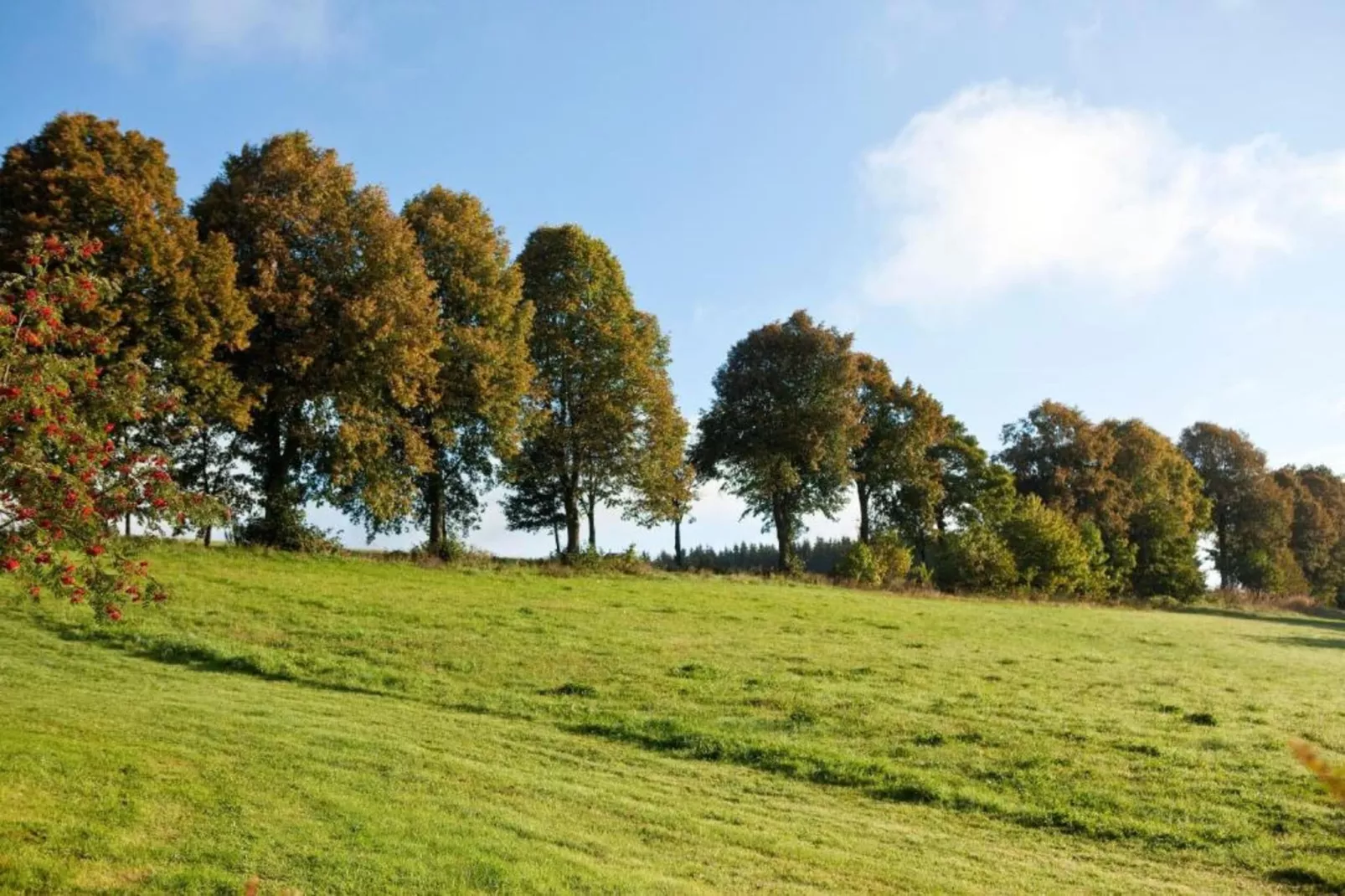Bergresort Winterberg 2 - Gebieden zomer 20km