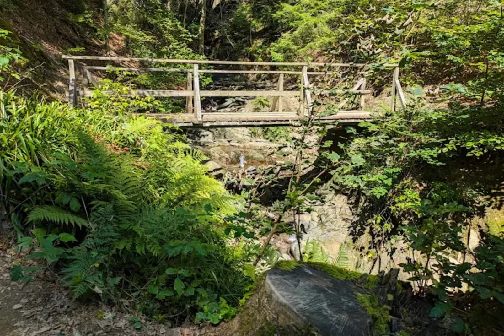 Feldstraße 30-O-Gebieden zomer 1km
