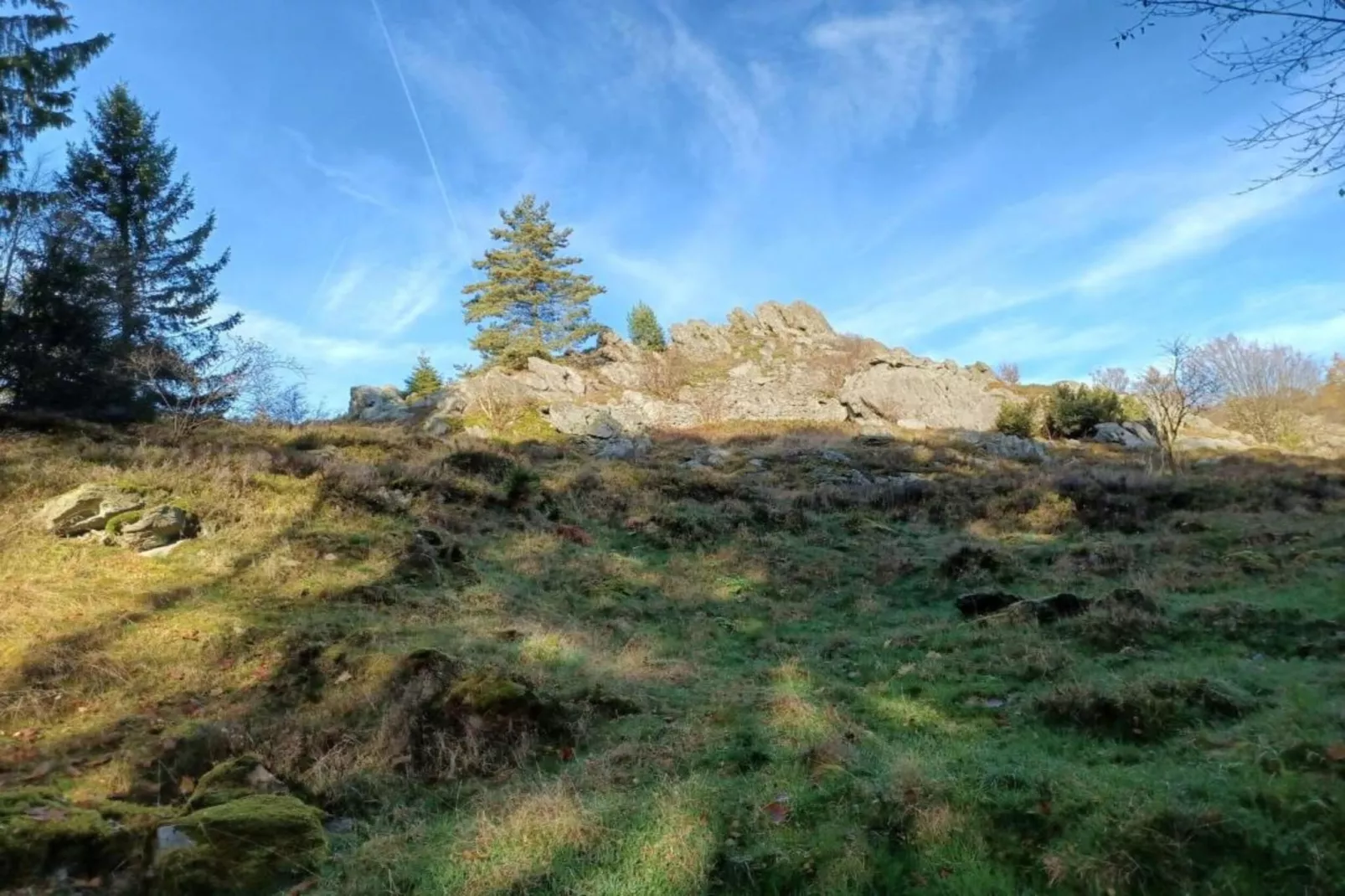 Bayerischer Wald-Gebieden zomer 20km