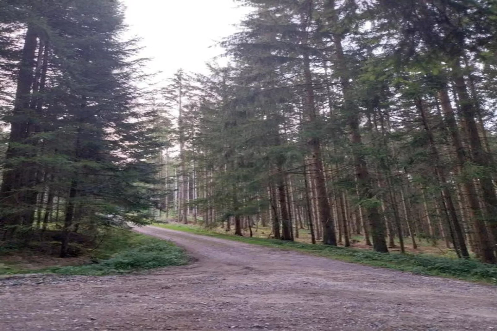Vakantiehuis met sauna in het Beierse Woud-Gebieden zomer 20km
