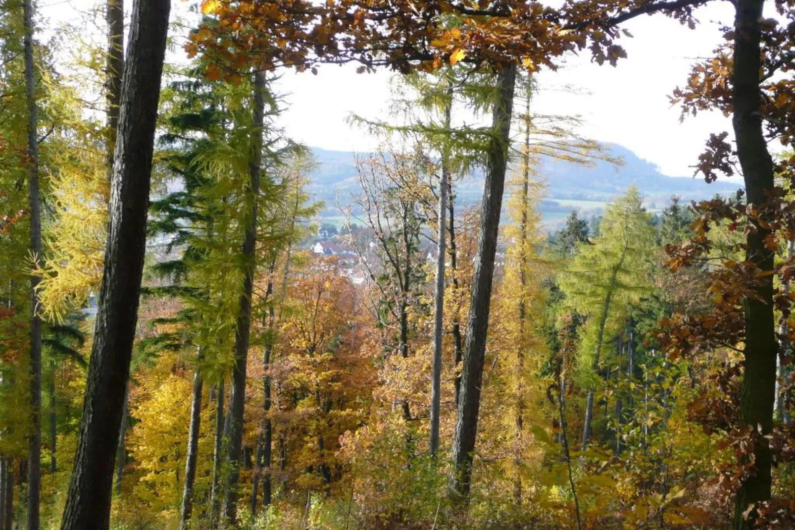 Thüringer Wald-Gebieden zomer 20km