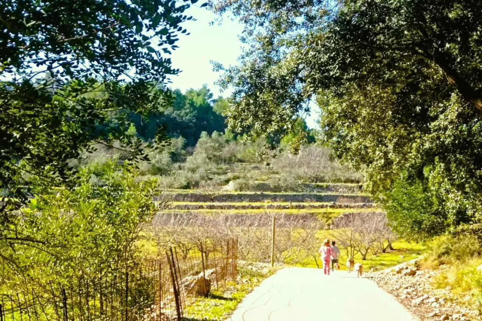 Finca Caballo Verde-Gebieden zomer 5km