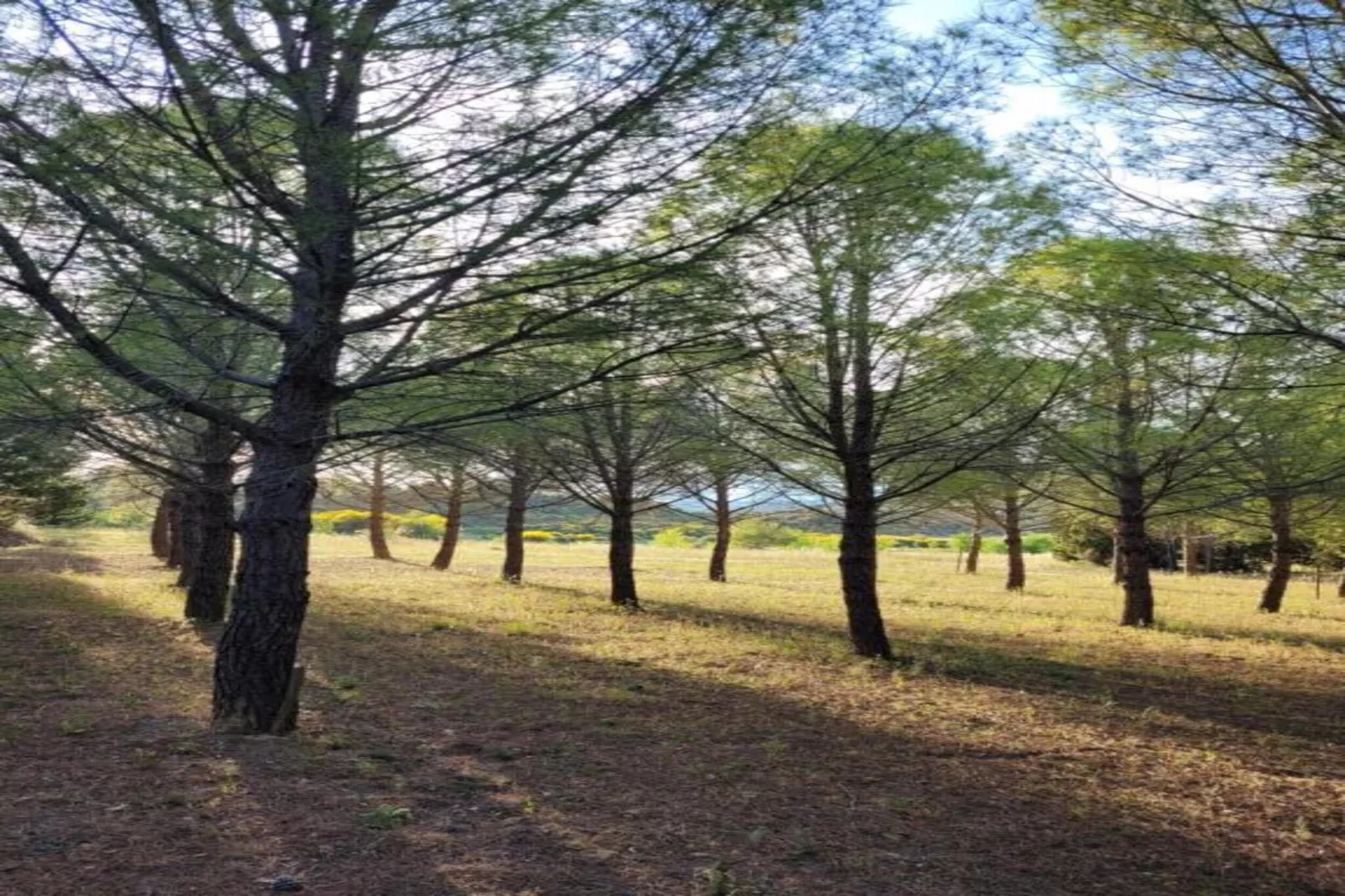 Villa Vignes et Bambous-Gebieden zomer 5km