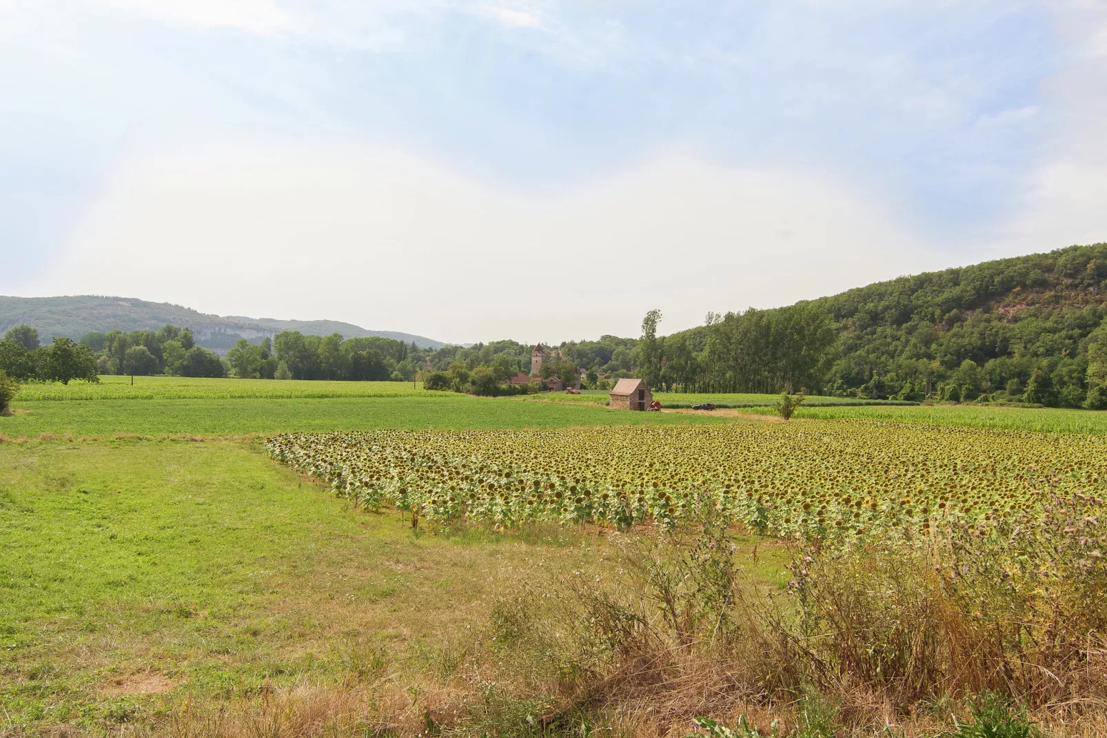 Belle Demeure Ribot 11 Pers-Gebieden zomer 1km