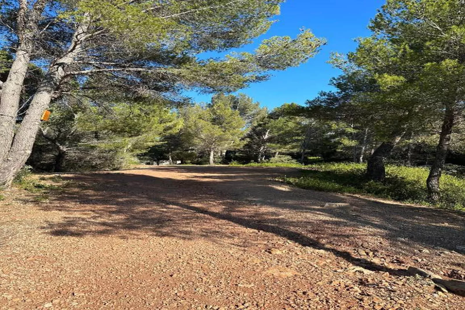 Résidence Le Mas des Alpilles 2-Gebieden zomer 20km